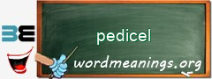 WordMeaning blackboard for pedicel